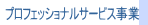 プロフェッショナルサービス事業